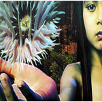 Lifeforms (2CD) cover