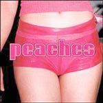 The Teaches of Peaches cover