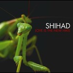 Love Is The New Hate (Limited Mantis Green Vinyl LP) cover