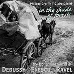 In the Shades of the Forrest: The Bohemian World of Debussy, Enescu and Ravel cover