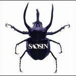 Saosin cover