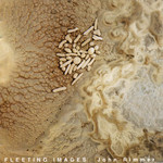 Fleeting Images cover
