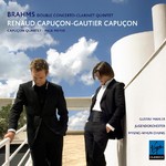Brahms: Double Concerto Op. 102 / Clarinet Quintet Op. 115 cover