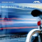 Elastic Harmonic / Glamour Sleeper / Junk Box Fraud, and other works cover