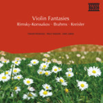 Violin Fantasies cover