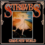Grave New World cover