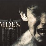 Knives cover
