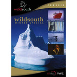 Wild South - Winter Special cover