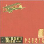 What To Do With Daylight: ABR (Abridged - US Import) cover