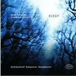 Elegy - Piano Trios cover
