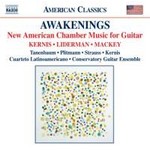 New American Chamber Music with Guitar cover