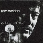 Dark Horse on the Wind cover