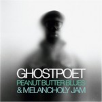 Peanut Butter Blues and Melancholy Jam (LP) cover