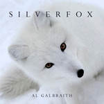 Silver Fox cover