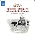Spieltrieb / String Trio cover