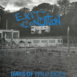 Days of Wild Skies (Remastered, Coloured Vinyl Edition) cover