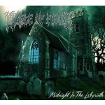 Midnight in the Labyrinth (Deluxe Rigid Digibook) cover