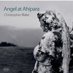 Angel at Ahipara cover