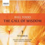 The Call of Wisdom cover