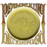 Psychedelic Pill (Vinyl) cover
