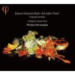 Ach suber Trost!: Leipzig Cantatas cover