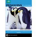 Penguin Spy in the Huddle cover
