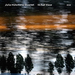 In Full View cover