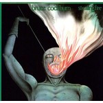 Stealing Fire (LP) cover