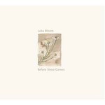 Before Sleep Comes cover