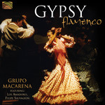 Gypsy Flamenco cover