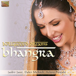 Bollywood Dreams - Bhangra cover
