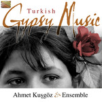 Gypsy Music from Turkey cover