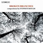 Hough: Broken Branches cover