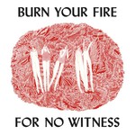 Burn Your Fire For No Witness cover