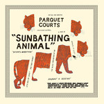 Sunbathing Animal (LP) cover