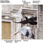 Typical System cover