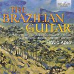 The Brazilian Guitar cover