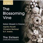 The Blossoming Vine: Italian Maestri in Poland cover