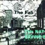 This Nation's Saving Grace - Expanded Edition (LP) cover