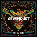 Kill The Flaw cover