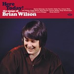 Here Today! The Songs Of Brian Wilson (LP) cover