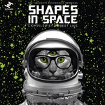 Shapes In Space (Double LP) cover