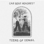 Teens Of Denial (LP) cover