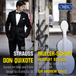 Strauss, (R.) - Don Quixote, Op. 35 / Cello Sonata / etc cover