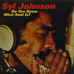 Do You Know What Soul Is (LP) cover