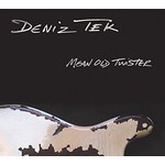 Mean Old Twister cover