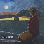 Mirror cover