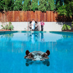 Hippopotamus cover