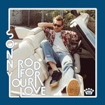 Rod For Your Love (LP) cover