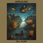 Fall Asleep (LP) cover